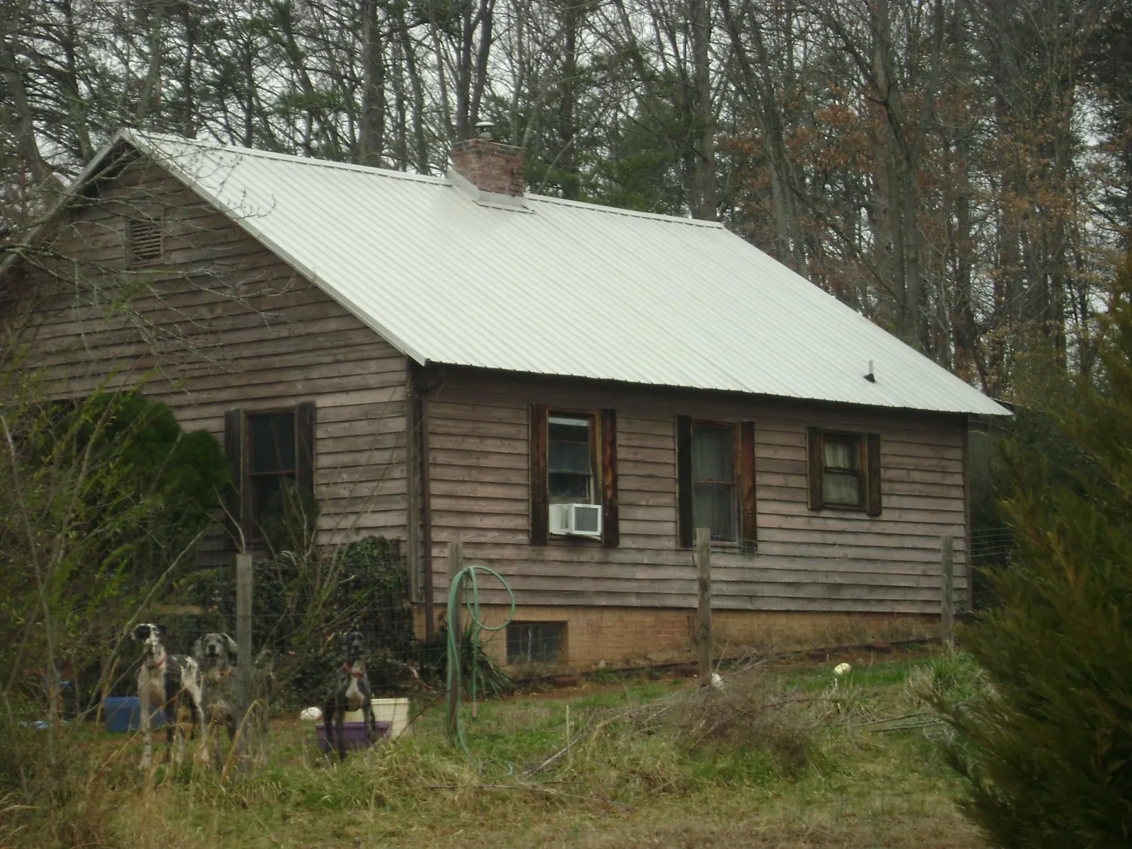 White metal roof on an old wood sided farmhouse, from a Asphalt Shingle Roof Repair job in Colusa